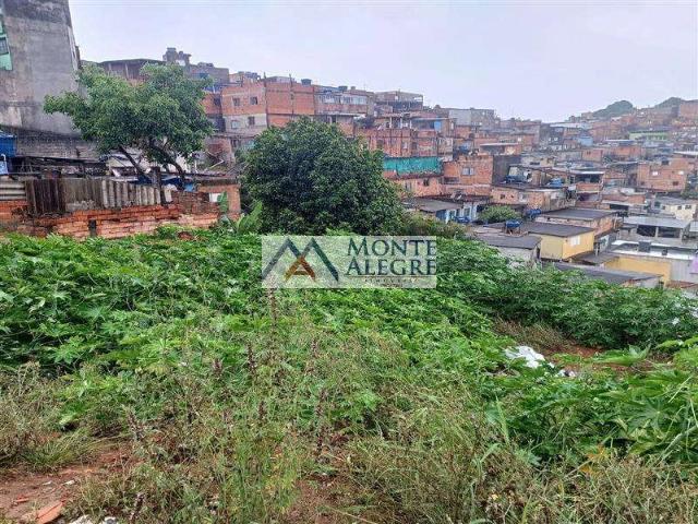 Terreno / Lote para Venda em São Paulo/SP Jardim Miriam