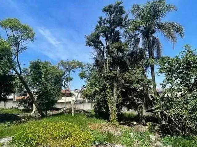 Terreno / Lote para Venda em São Paulo/SP Jardim Novo Jaú
