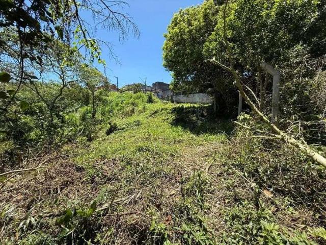 Terreno / Lote para Venda em São Paulo/SP Jardim Novo Parelheiros