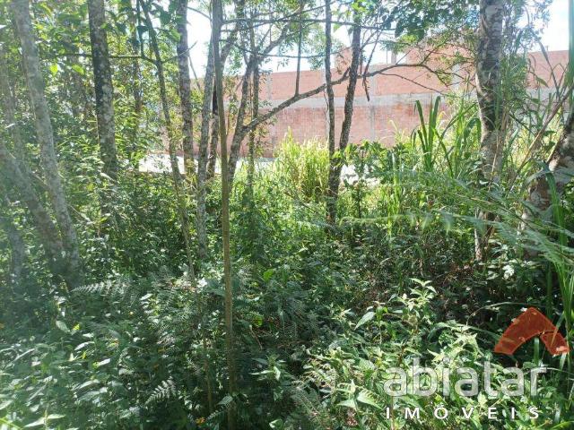 Terreno / Lote para Venda em São Paulo/SP Jardim Novo Parelheiros