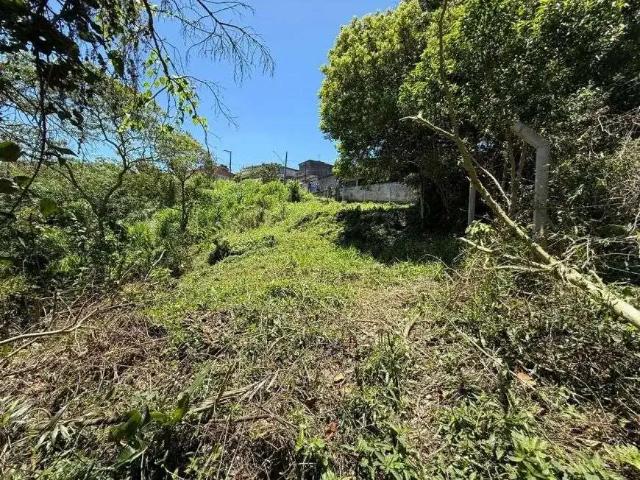 Terreno / Lote para Venda em São Paulo/SP Jardim Novo Parelheiros