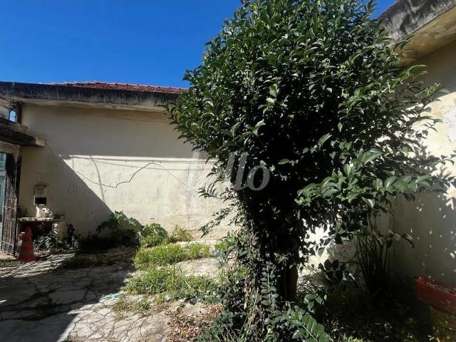 Terreno / Lote para Venda em São Paulo/SP Jardim Nice