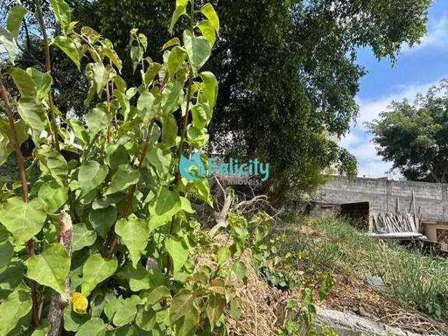 Terreno / Lote para Venda em São Paulo/SP Jardim Santo Elias