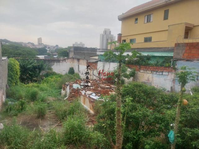 Terreno / Lote para Venda em São Paulo/SP Jardim Santo Elias
