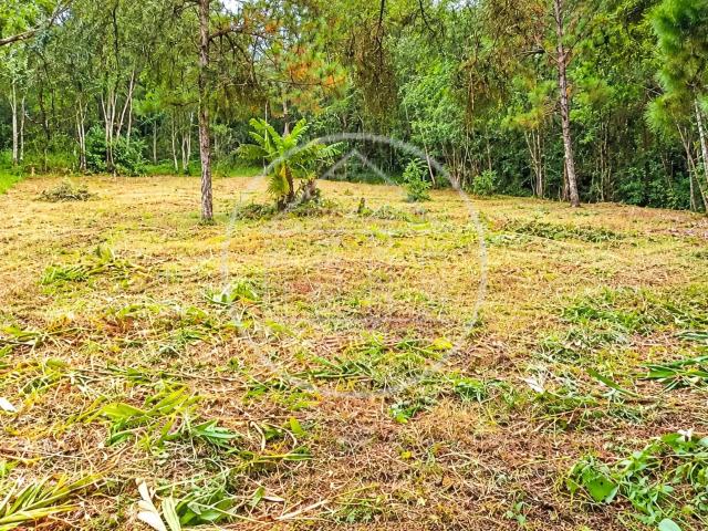 Terreno / Lote para Venda em São Paulo/SP Jardim Santa Cruz Parelheiros