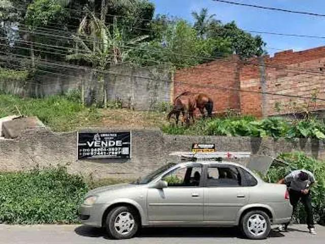 Terreno / Lote para Venda em São Paulo/SP Jardim Santa Fé Zona Sul