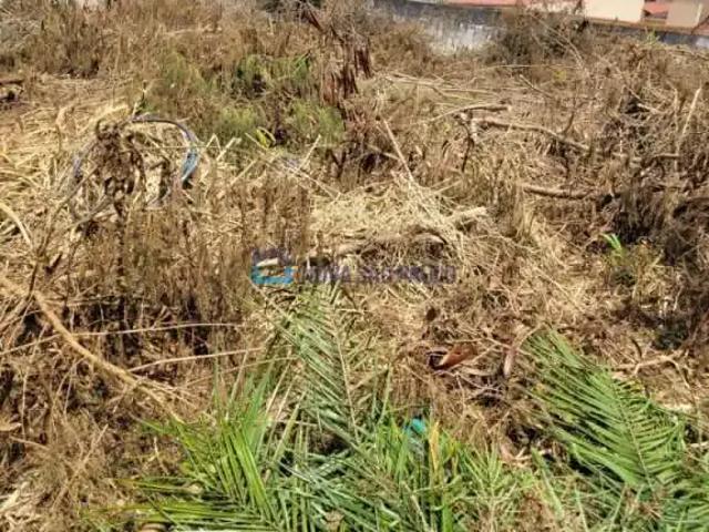 Terreno / Lote para Venda em São Paulo/SP Jardim Santa Helena