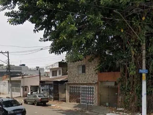 Terreno / Lote para Venda em São Paulo/SP Jardim Santa Maria