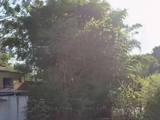 Terreno / Lote para Venda em São Paulo/SP Jardim Shangrilá Zona Norte