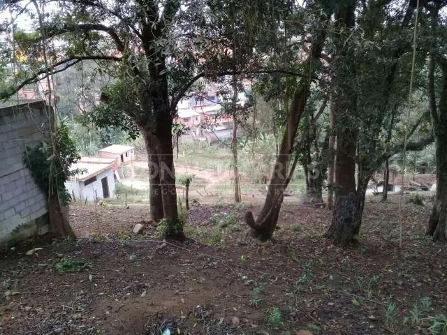 Terreno / Lote para Venda em São Paulo/SP Jardim Shangrilá Zona Sul