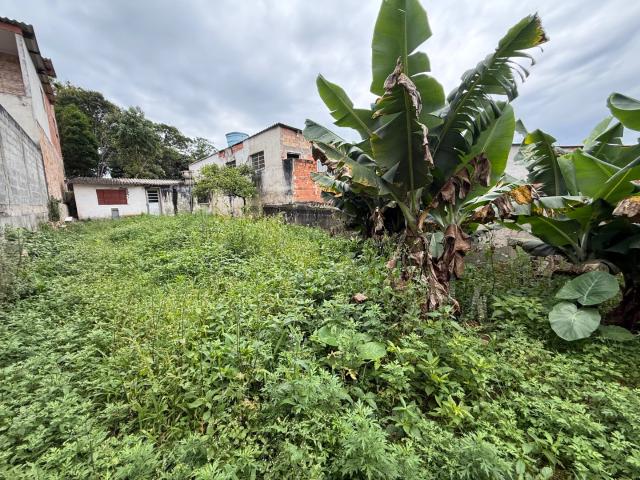 Terreno / Lote para Venda em São Paulo/SP Jardim Silveira