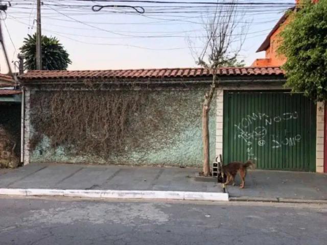 Terreno / Lote para Venda em São Paulo/SP Jardim Pouso Alegre