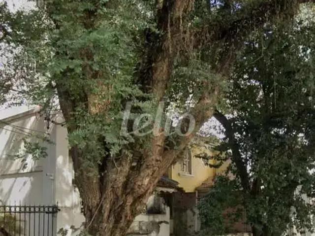 Terreno / Lote para Venda em São Paulo/SP Jardim Paulista