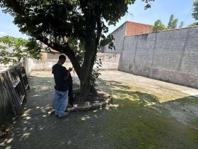 Terreno / Lote para Venda em São Paulo/SP Jardim Palmares Zona Sul