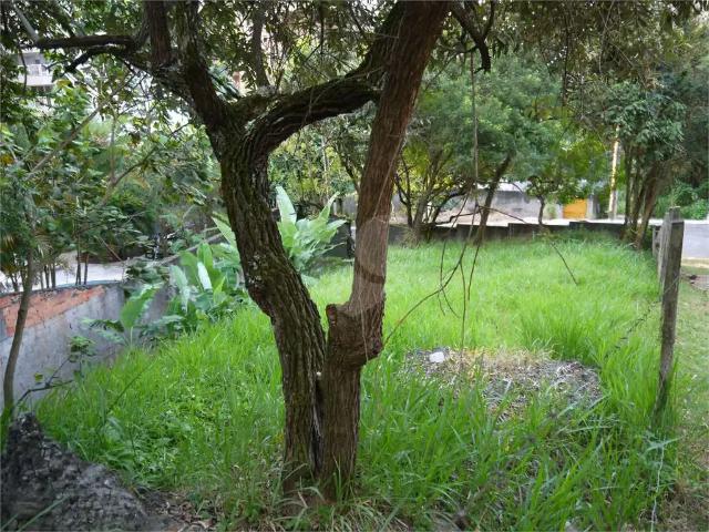 Terreno / Lote para Venda em São Paulo/SP Jardim Petrópolis