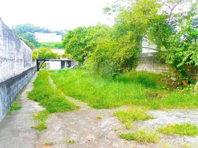 Terreno / Lote para Venda em São Paulo/SP Jardim Petrópolis