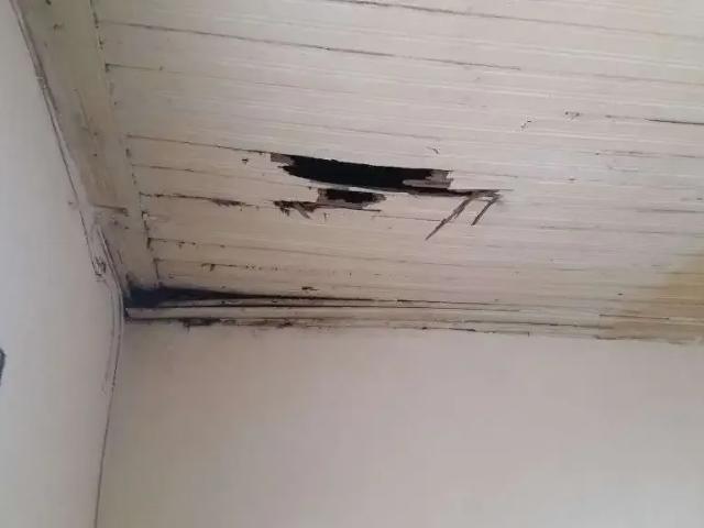 Terreno / Lote para Venda em São Paulo/SP Jardim Penha