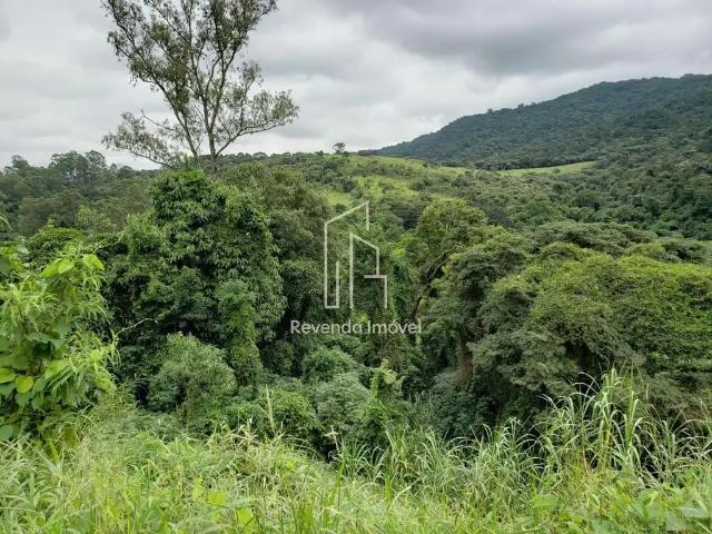 Terreno / Lote para Venda em São Paulo/SP Jardim Peri