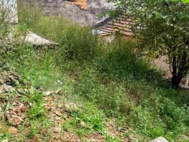 Terreno / Lote para Venda em São Paulo/SP Jardim Peri