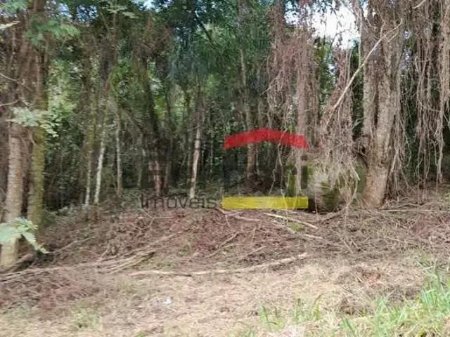 Terreno / Lote para Venda em São Paulo/SP Jardim Peri