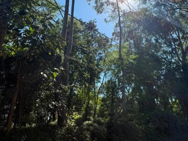 Terreno / Lote para Venda em São Paulo/SP Jardim Riviera