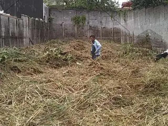 Terreno / Lote para Venda em São Paulo/SP Jardim Têxtil