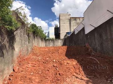 Terreno / Lote para Venda em São Paulo/SP Parque São Lucas 1 Quartos