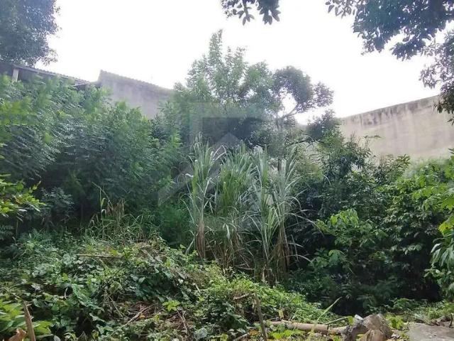 Terreno / Lote para Venda em São Paulo/SP Jardim Tietê