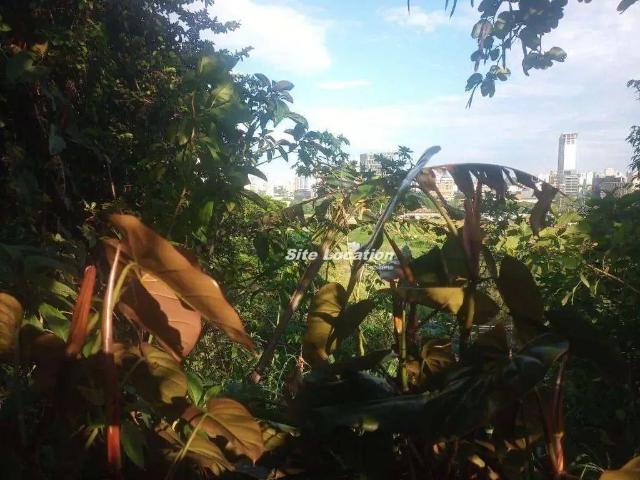 Terreno / Lote para Venda em São Paulo/SP Jardim Vitoria Regia