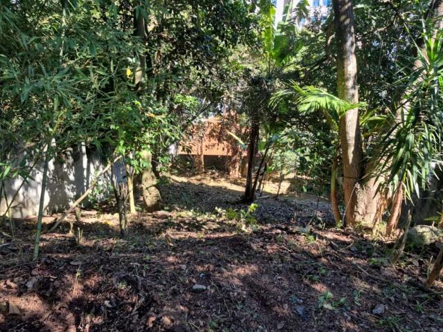 Terreno / Lote para Venda em São Paulo/SP Jardim Vivan