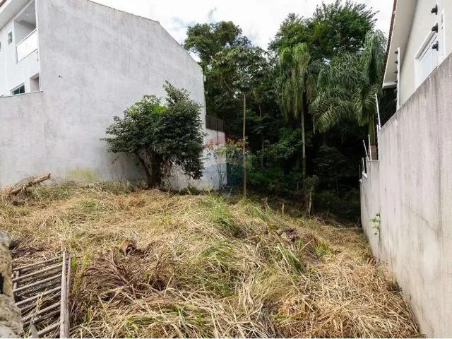 Terreno / Lote para Venda em São Paulo/SP Jardim Virgínia Bianca