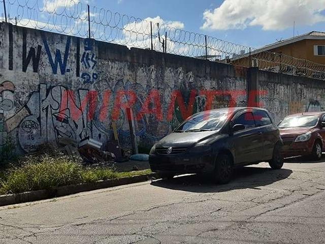 Terreno / Lote para Venda em São Paulo/SP Lauzane Paulista