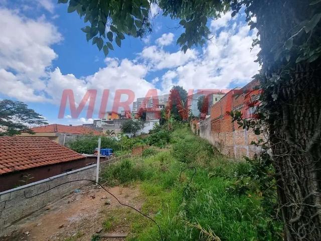 Terreno / Lote para Venda em São Paulo/SP Lauzane Paulista