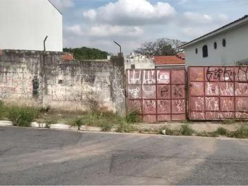 Terreno / Lote para Venda em São Paulo/SP Lauzane Paulista