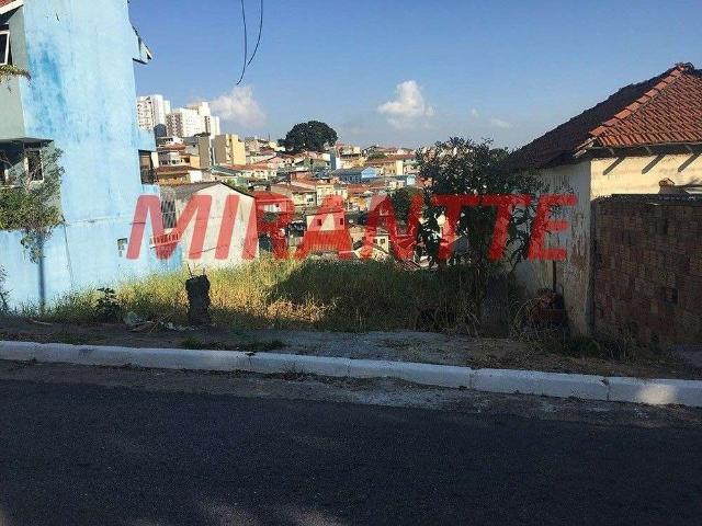 Terreno / Lote para Venda em São Paulo/SP Limão