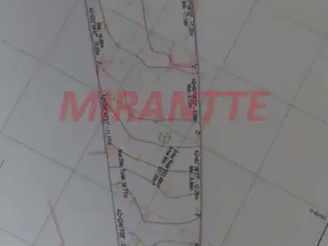 Terreno / Lote para Venda em São Paulo/SP Limão