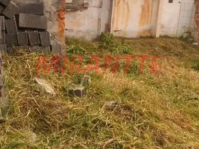 Terreno / Lote para Venda em São Paulo/SP Limão