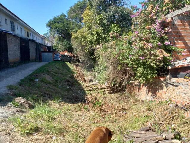 Terreno / Lote para Venda em São Paulo/SP Limão