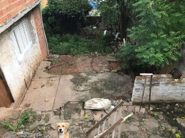 Terreno / Lote para Venda em São Paulo/SP Limão 3 Quartos