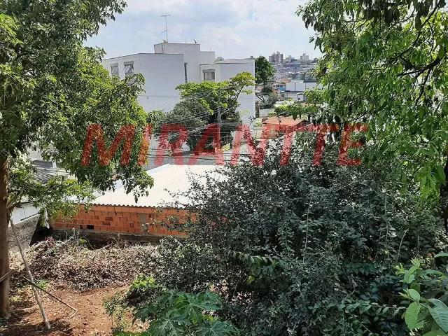 Terreno / Lote para Venda em São Paulo/SP Mandaqui