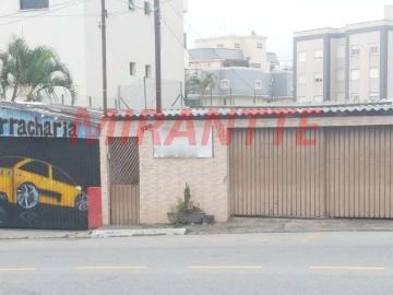 Terreno / Lote para Venda em São Paulo/SP Mandaqui