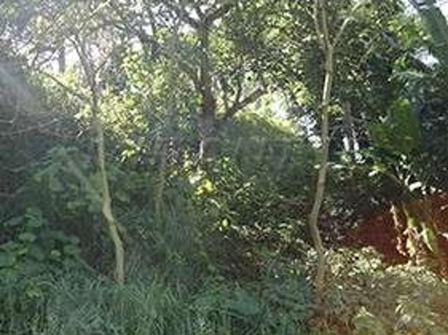 Terreno / Lote para Venda em São Paulo/SP Mandaqui