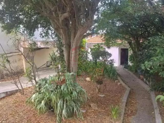 Terreno / Lote para Venda em São Paulo/SP Mooca
