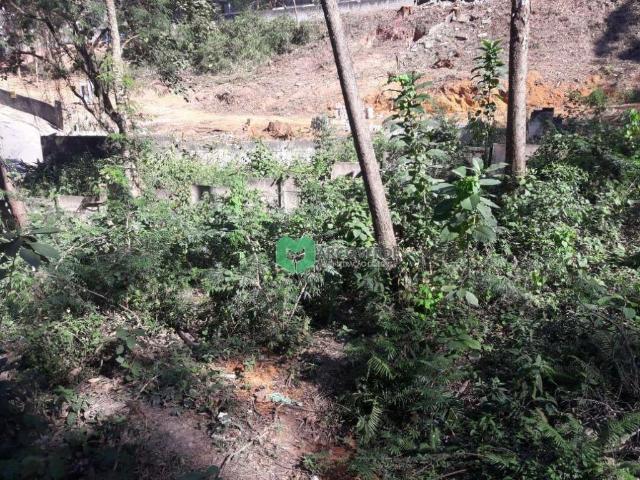 Terreno / Lote para Venda em São Paulo/SP Morumbi