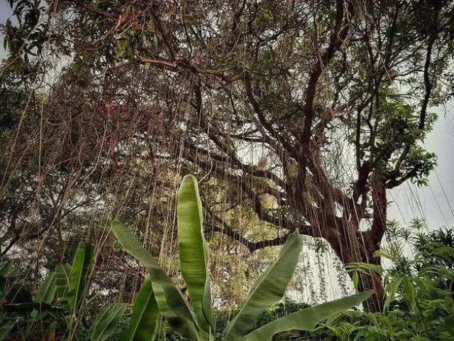 Terreno / Lote para Venda em São Paulo/SP Morumbi