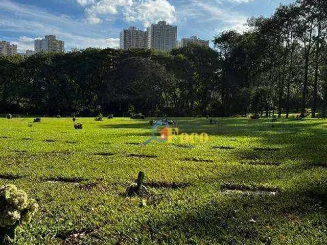 Terreno / Lote para Venda em São Paulo/SP Morumbi