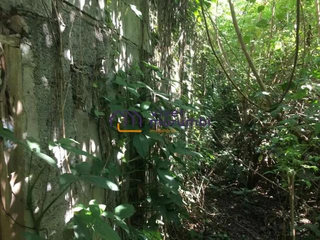 Terreno / Lote para Venda em São Paulo/SP Morumbi