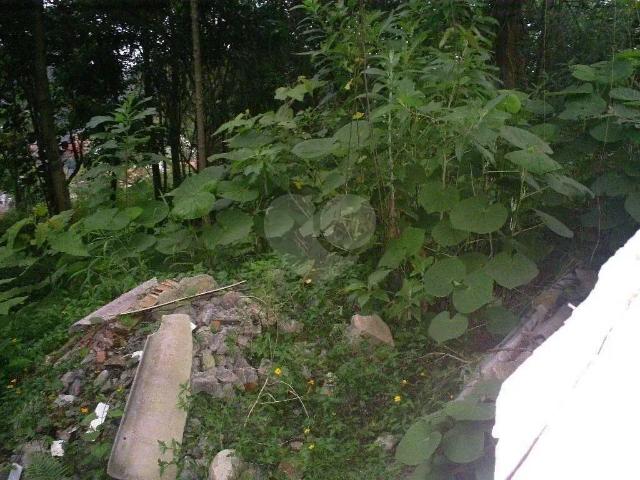 Terreno / Lote para Venda em São Paulo/SP Morumbi