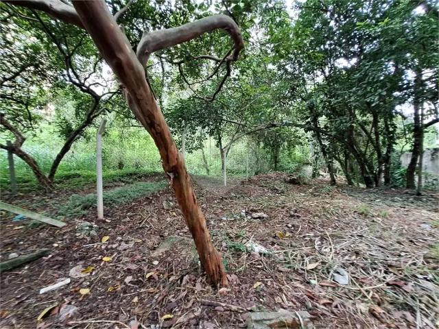 Terreno / Lote para Venda em São Paulo/SP Morumbi