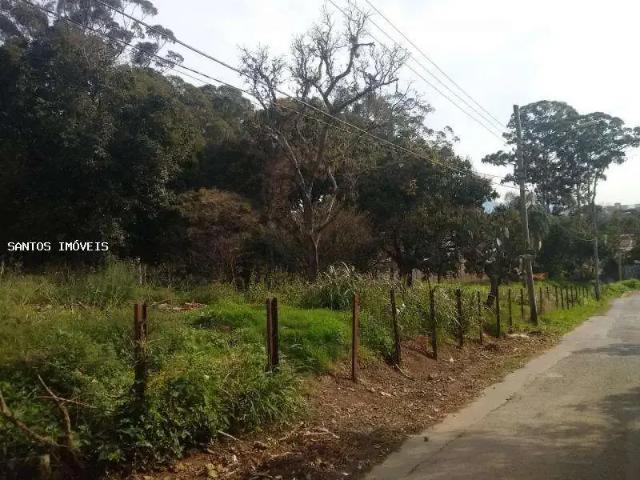 Terreno / Lote para Venda em São Paulo/SP Parada de Taipas